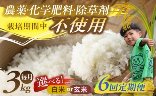 【6回定期便】源流育ち お山のお米 3kg 白米 玄米 選べる 国産 岐阜 白川町 / Sunpo [AWBC012]