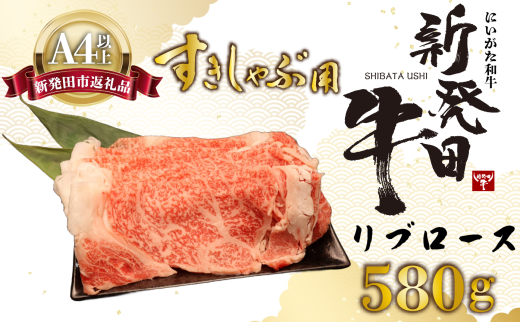 リブロース しゃぶしゃぶ すき焼き 580g 牛肉 ロース 霜降り にいがた和牛 和牛 新発田牛 赤身 焼肉 ふるさと納税 和牛 BBQ キャンプ 特選 贅沢 厳選和牛 ブランド牛 ギフト 贈答 お歳暮 新潟 新潟県 新潟産 新発田 新発田市 新発田産 年末の推し えのもとミート 年内配送