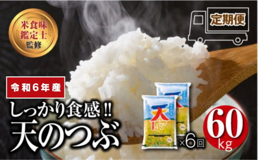 ＼ 年内発送 12/24(火)決済完了分まで！／【 令和6年産 】  ＼定期便／ 天のつぶ 1俵 60kg 10kg ずつ 6回 配送 ギフト 贅沢 のし対応 １週間以内発送 福島 ふくしま 田村 贈答 美味しい 米 kome コメ ご飯  ブランド米  精米したて お米マイスター 匠 食味鑑定士 安藤米穀店