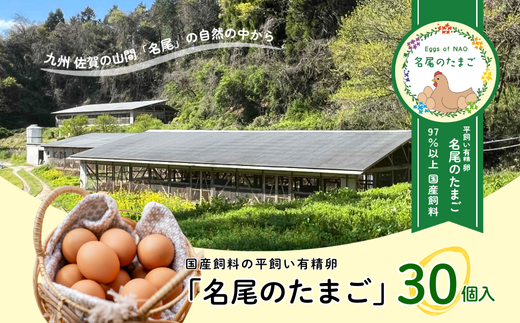 国産飼料の平飼い有精卵「名尾のたまご」30個入：B135-013