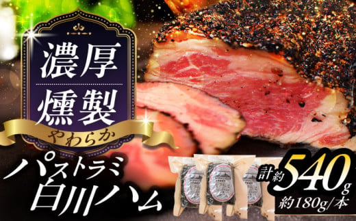 岐阜県産 パストラミハム 3本セット ハム はむ パストラミ 豚肉 肉 加工品 白川町 / 白川町農業開発 [AWAH006] 727453 - 岐阜県白川町