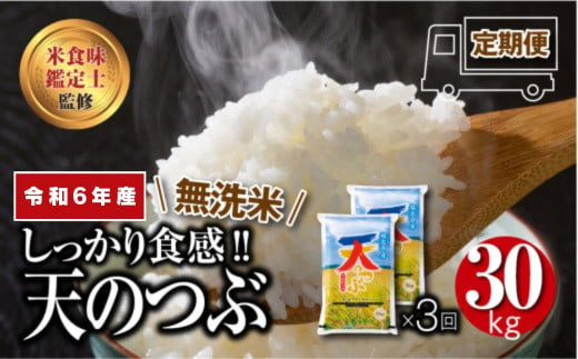 ＼ 年内発送 12/24(火)決済完了分まで！／【 令和6年産 】 ＼定期便／ 無洗米 天のつぶ 1俵 30kg 10kg ずつ 3回 配送ギフト 贅沢 のし対応 １週間以内発送 福島 ふくしま 田村 贈答 美味しい 米 kome コメ ご飯  ブランド米  精米したて お米マイスター 匠 食味鑑定士 安藤米穀店