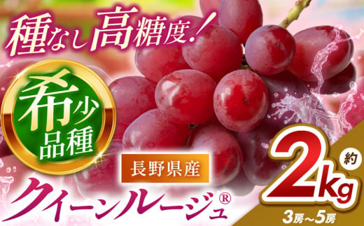 2025年 先行予約 クイーンルージュ®  約2kg 3房 ～ 5房 信州まるごと市場 | 果物 フルーツ ぶどう 葡萄 ブドウ 赤ぶどう マスカット クイーンルージュ® 種無し 種なし 皮ごと 食べやすい 高糖度 信州 特産品 長野県 千曲市 長野県限定 1195077 - 長野県千曲市