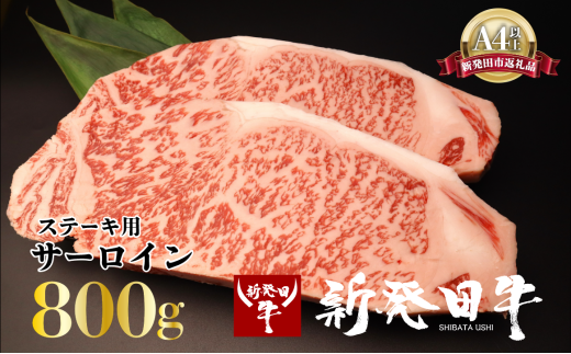 サーロイン ステーキ 牛肉 800g にいがた和牛 和牛 新発田牛 赤身 焼肉 ふるさと納税 和牛 BBQ キャンプ 特選 贅沢 厳選和牛 ブランド牛 ギフト 贈答 お歳暮  新潟 新潟県 新潟産 新発田 新発田市 新発田産 アルビレックス アルビレックス新潟 えのもとミート 1907523 - 新潟県新発田市