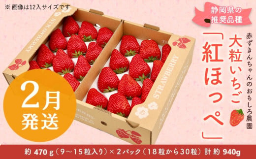 ６３９０　②2月の発送　大粒いちご 紅ほっぺ 470g×２P 計940g 令和7年1月頃から発送　①1月 ②2月 ③3月  赤ずきんちゃんのおもしろ農園  