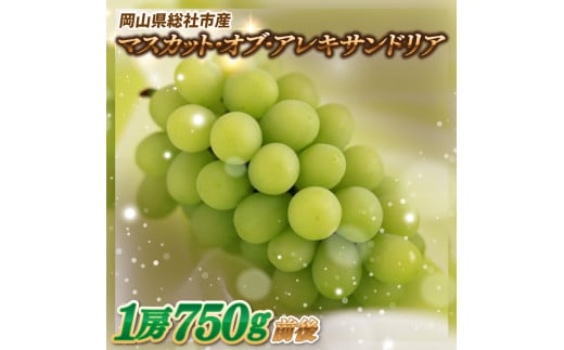 ぶどう「マスカットオブアレキサンドリア」　岡山県総社市産【2025年産先行予約】25-019-001