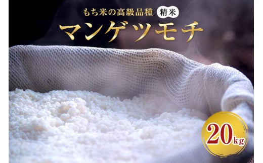 マンゲツモチ 精米 20kg もち米の高級品種 お米 精米 もち米 白米 ごはん ご飯 もち 餅 モチ 単一原料米 茨城県産 高級 高品質 69-V 1857768 - 茨城県小美玉市