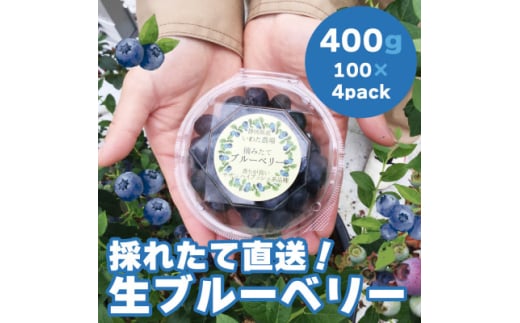 ＜令和7年5月 順次発送＞完熟ブルーベリー生果実・400g　静岡県磐田市産【1444671】 1063934 - 静岡県磐田市