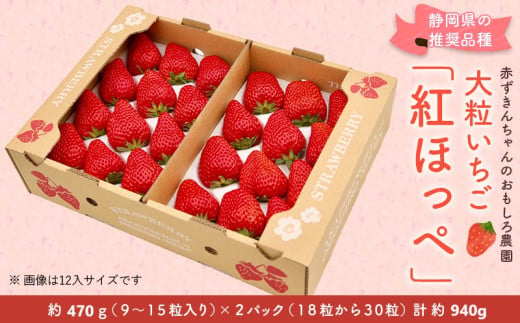 ６３９０　いちご 大粒 紅ほっぺ 470g×3P 計940g 令和7年1月頃から発送　①1月 ②2月 ③3月  赤ずきんちゃんのおもしろ農園  