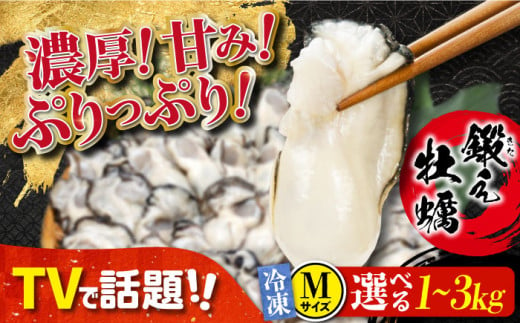 牡蠣 冷凍 むき身 カキ かき 他の牡蠣とは味がちがう！【冷凍】 大粒 牡蠣 鍛え牡蠣 むき身 Mサイズ 計1kg（冷凍）牡蠣 広島 かき むき身料理 簡単 江田島市/有限会社寺本水産 [XAE021]