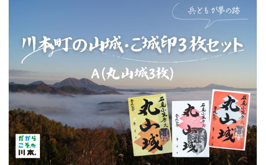 390335　川本町の山城・ご城印３枚セット A(丸山城３枚) 1884929 - 島根県川本町