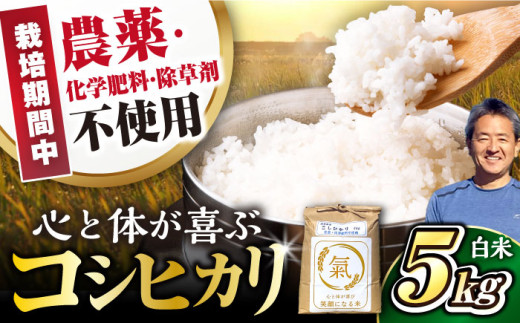 【スピード配送】有機栽培 コシヒカリ 5kg 白米 令和6年度産　滋賀県長浜市/七神氣 金子嘉徳 [AQCN001] コシヒカリ こしひかり 有機栽培 米 お米 白米  5kg  1500539 - 滋賀県長浜市