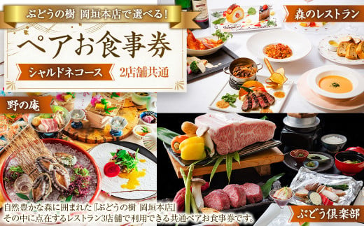 ぶどうの樹岡垣本店で選べる!ペアお食事券[シャルドネコース] お食事券 食事券 食事 ペア ペア食事券 チケット ペアチケット 野の庵 森のレストラン ぶどう倶楽部