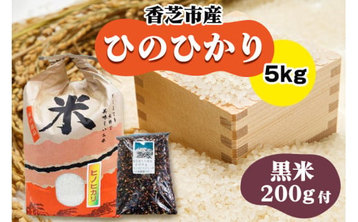 令和6年産！ひのひかり5kgと黒米200gセット(奈良県香芝市産) [2833]