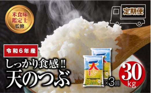 ＼ 年内発送 12/24(火)決済完了分まで！／【 令和6年産 】 ＼定期便／ 天のつぶ 30kg 10kg ずつ 3回 配送 ギフト 贅沢 のし対応 １週間以内発送 福島 ふくしま 田村 贈答 美味しい 米 kome コメ ご飯  ブランド米  精米したて お米マイスター 匠 食味鑑定士 安藤米穀店