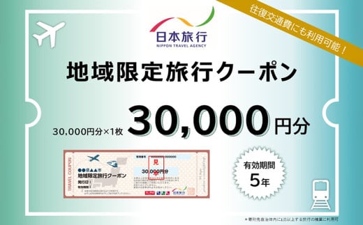 沖縄県本部町　日本旅行　地域限定旅行クーポン3万円分 沖縄 観光 アクティビティ 美ら海水族館 グルメ リゾートホテル シュノーケリング エメラルドビーチ ダイビング カフェ 子連れ カップル 一人旅 桜祭り アセロラ ドライブ ゴルフ パイナップル マンゴー 絶景スポット 夕日