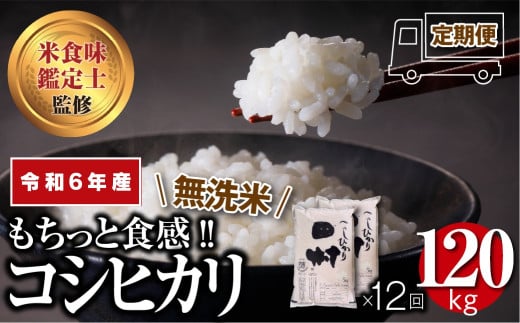 ＼お申込みは12/31(火)決済完了分まで！／【 令和6年産 無洗米 】 田村産  ＼定期便12回／ コシヒカリ 120kg 10kg ずつ 12回 配送ギフト お歳暮 冬ギフト 贅沢 のし対応 １週間以内発送 福島 ふくしま 田村 贈答 美味しい 米 kome コメ ご飯  ブランド米  精米したて お米マイスター 匠 食味鑑定士 安藤米穀店