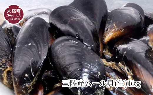 【令和7年1月より発送】三陸産ムール貝1kg (20個前後) 475641 - 岩手県大槌町