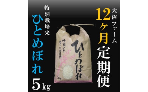 10月スタート【定期便12回】大沼ファームの特別栽培米ひとめぼれ5kg