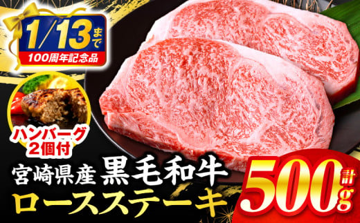 【2025年1月発送】【市制100周年特別規格・期間限定】宮崎県産黒毛和牛ロースステーキ250g×2 合挽きハンバーグ100g×2個 合計700g_M132-091-B-jan