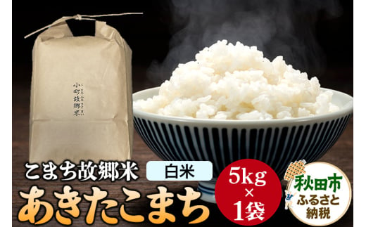 こまち故郷米＜あきたこまち＞5kg×1袋 令和6年産 479101 - 秋田県秋田市