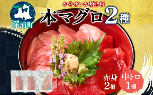 本マグロ 赤身 2柵 中トロ 1柵 セット 国産 本鮪 まぐろ マグロ クロマグロ 鮪 刺身 丼ぶり 寿司 海鮮 魚介 贅沢 お取り寄せ 詰め合わせ グルメ 産地直送 送料無料 冷凍 道の駅 青森県 深浦町