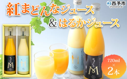 ＜紅まどんなとはるかジュース 720ml×2本セット＞ 果汁100％ ストレートジュース みかん ミカン 果物 くだもの フルーツ 柑橘 紅マドンナ べにまどんな ハルカ 特産品 マルワフルーツ園芸 宇都宮物産 愛媛県 西予市【常温】