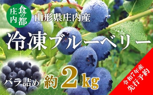 【先行予約】食の都庄内【令和7年産】庄内産