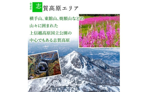 長野県山ノ内町のふるさと納税 山ノ内町内宿泊補助券（6枚）1年間有効 30,000円分 旅行 宿泊券 ホテル 旅館 チケット 宿泊 補助券 志賀高原 湯田中渋温泉郷 北志賀高原 地獄谷野猿公苑  温泉 ギフト 自然 観光 長野県 信州 冬 スキー