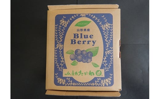 山形県三川町のふるさと納税 【先行予約】食の都庄内【令和7年産】庄内産冷凍ブルーベリー（バラ詰め約2kg）※令和7年8月頃より順次配送予定