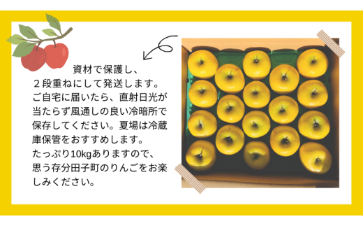 青森県田子町のふるさと納税 1月 田子の家庭用シナノゴールド 約10kg【訳あり】【青森りんご・長畝正幸さん生産直送・1月】