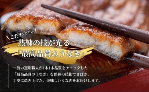 国産うなぎ 浜名湖産 蒲焼き 2尾 (100g以上×2本入) 山椒 たれ セット 詰め合わせ 海老仙 国産ウナギ 国産 うなぎ ウナギ 鰻 うなぎの蒲焼  鰻の蒲焼き 小分け おすすめ 贈答用 ギフト 冷凍 静岡 静岡県 浜松市 [№5786-2249] - 静岡県浜松市｜ふるさとチョイス - ふるさと  ...