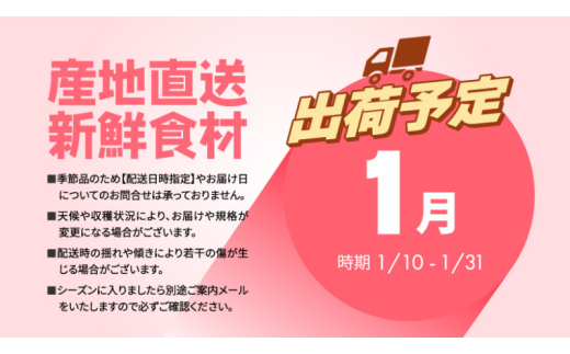 青森県田子町のふるさと納税 1月 田子の家庭用シナノゴールド 約10kg【訳あり】【青森りんご・長畝正幸さん生産直送・1月】