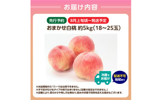 山形県大江町のふるさと納税 《先行予約》おまかせ 白桃 約5kg（18～25玉）【2025年8月上旬頃～発送予定】【山形もも・大江町産】 【001-090】