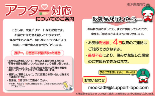 栃木県真岡市のふるさと納税 スカイベリー（贈答向け）【3月発送】280ｇ×2ｐ 真岡市 栃木県 送料無料