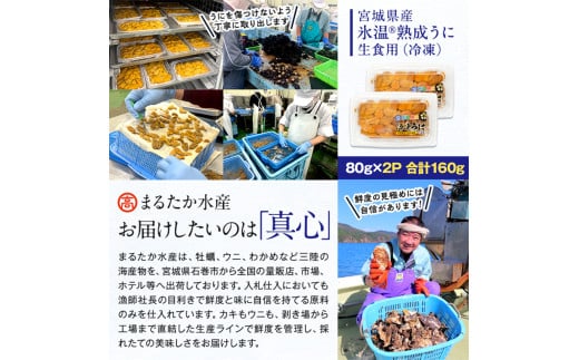 宮城県石巻市のふるさと納税 【 先行予約 】訳あり 氷温(R)熟成 冷凍 生うに 80g×2 合計160g ＜ 2025年5月中旬から順次発送予定 ＞ 宮城県産 岩手県産 青森県産 規格外 不揃い 小分け ウニ丼 ミョウバン不使用 雲丹 ウニ 刺身 まるたか水産