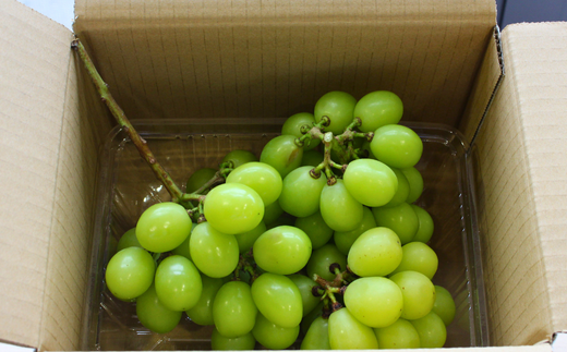 品質チェックを徹底してお届けします。