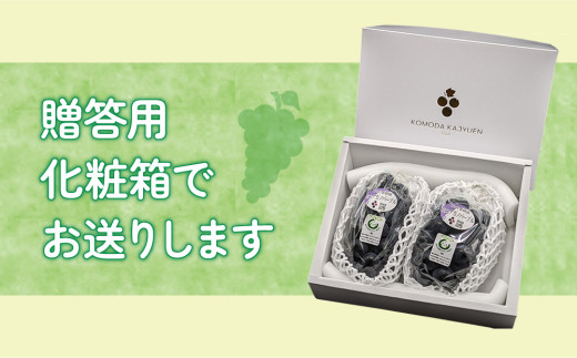 東御こもだ果樹園オリジナル贈答用化粧箱でお送りします。