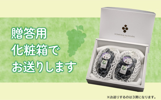東御こもだ果樹園オリジナル贈答用化粧箱でお送りします。（お送りするのは3房になります）