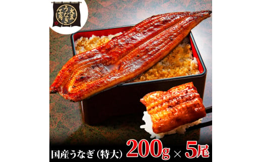 [№5695-1780]うなぎ蒲焼 200g×5尾(1kg) うなぎ ウナギ 鰻 蒲焼 蒲焼き 静岡 島田市 1905195 - 静岡県島田市