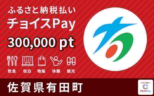 有田町チョイスPay 300,000pt（1pt＝1円）
