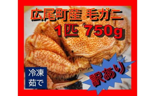 毛ガニ750g（冷凍茹で）【訳あり】(0070) 1895526 - 北海道広尾町