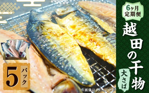 【6ヶ月定期便】 越田の干物 大さば（1枚入）×5パック 合計30パック 干物 鯖 さば 魚 お魚 さかな さば サバ