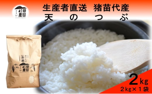 米 令和6年度産 天のつぶ 2kg 白米 精米 生産者直送 直送 