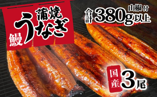 【 訳アリ 】 国産うなぎ 蒲焼き 3尾 セット ( 380g ) 大きさ の不揃い 山椒付き ウナギ 鰻 ふぞろい 不揃い うな重 ひつまぶし 人気 茨城 八千代町 ふるさと納税 冷凍