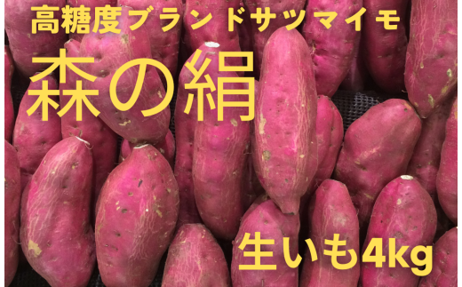 高糖度サツマイモ「森の絹」生イモ4kg【さつまいも 農薬不使用 有機肥料使用 蜜 焼き芋 A-25】 476149 - 島根県飯南町