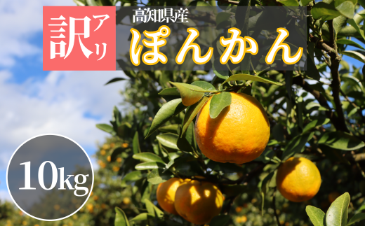 TM001-2 徳村の訳ありぽんかん＜10kg＞国産 東洋町産 訳アリ 甘い コク ジューシー 果肉 高知県 東洋町 四国 お取り寄せ フルーツ 果物 家庭用 自宅用 送料無料