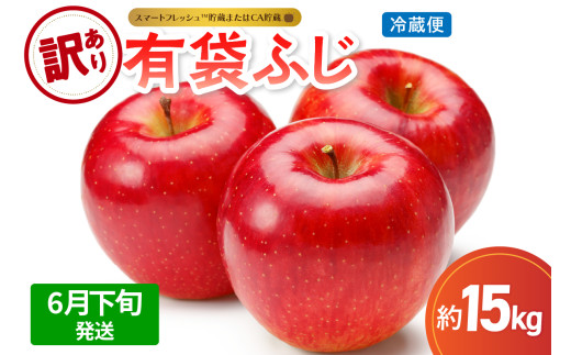 【2025年6月下旬発送】【訳あり】りんご15kg有袋ふじ【スマートフレッシュTM貯蔵またはCA貯蔵・クール便】 1069947 - 青森県五所川原市
