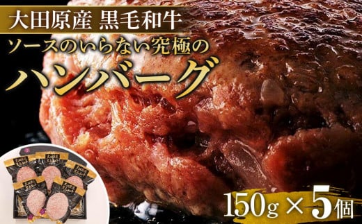 ソースのいらない究極の大田原産黒毛和牛 ハンバーグ | 黒毛和牛 熟成 高級 和牛 ハンバーグ 702305 - 栃木県大田原市