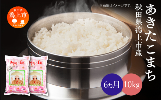 【新米令和6年産】《6ヶ月定期便》潟上市産 あきたこまち 精米10kg （ 5kg × 2袋 ）